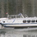 Vöcsök IV.