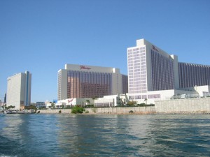 Flamingo
