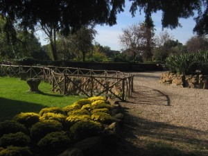 Park