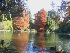 Park