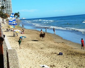 Mexikói óceán strand