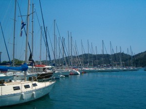 Skiathos-hajok