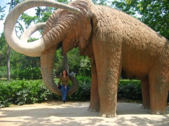 Mamut