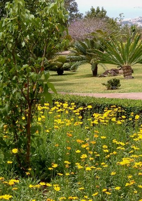 Madeira botanikus kert