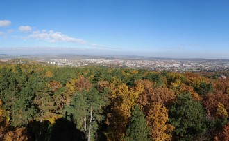 Erdei panoráma HQ
