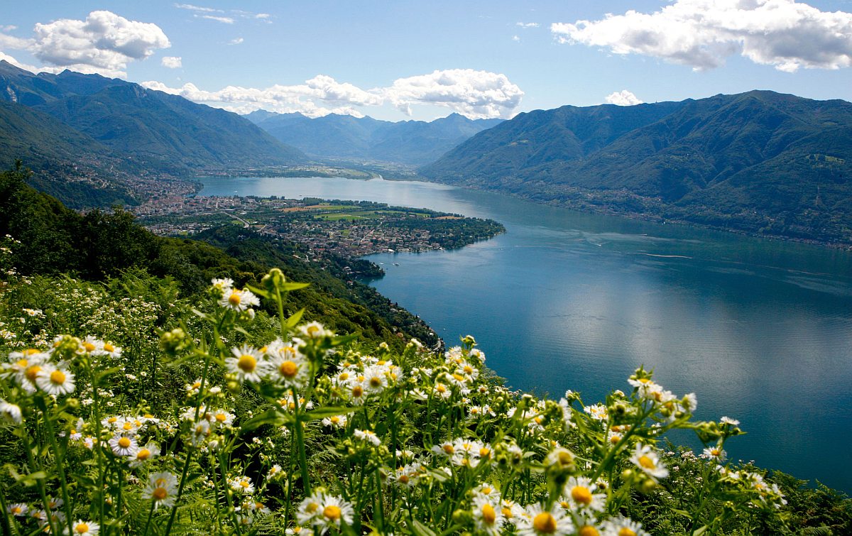 Ronco: Lago Maggiore látkép